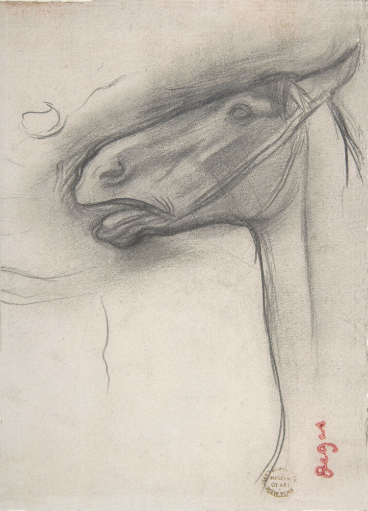 Head of a Horse