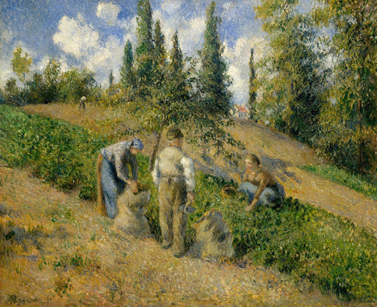 The Harvest, Pontoise (La Récolte, Pontoise) - by Camille Pissarro