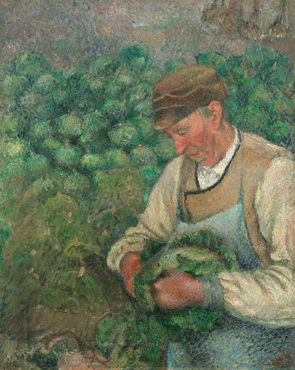 The Gardener - Old Peasant with Cabbage