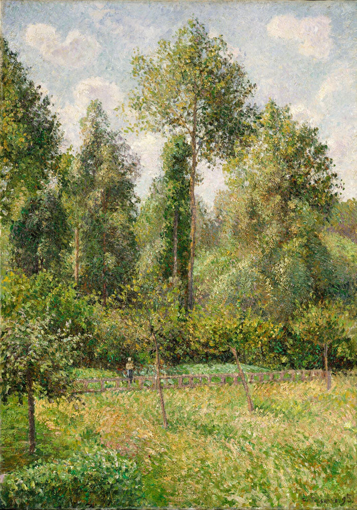 Poplars, Éragny - by Camille Pissarro