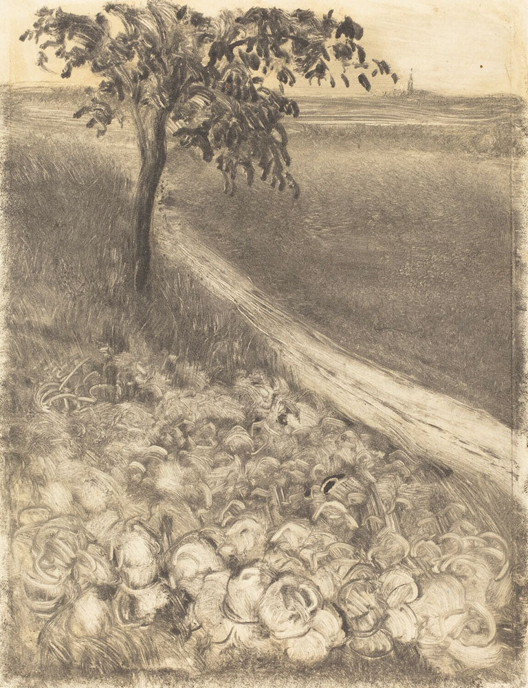 Road by a Field of Cabbages