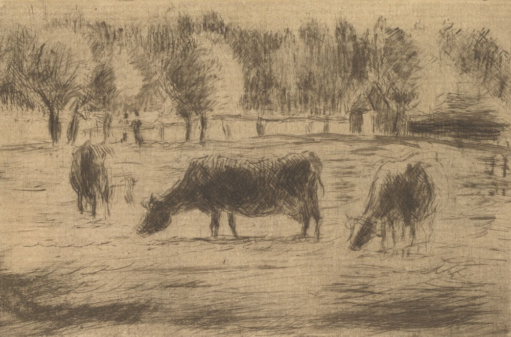 Cows in the Fields of Éragny, near Gisors - by Camille Pissarro