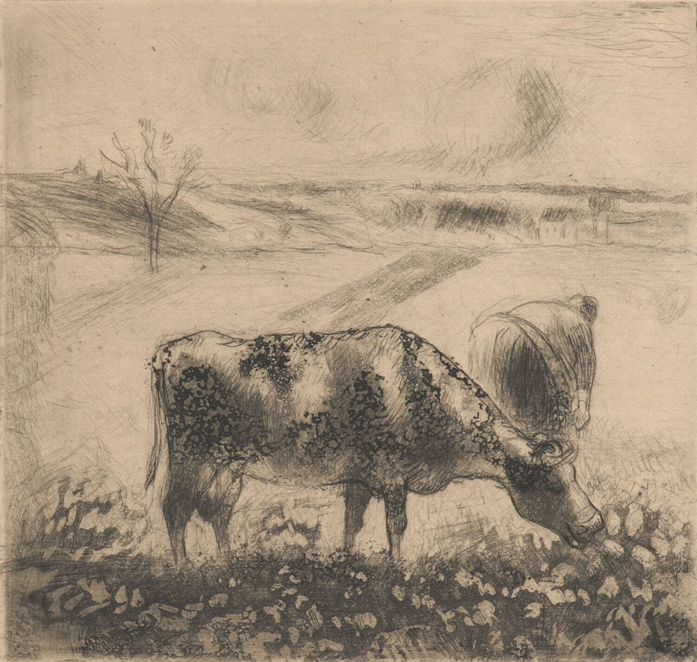 The Cow (La Vache)