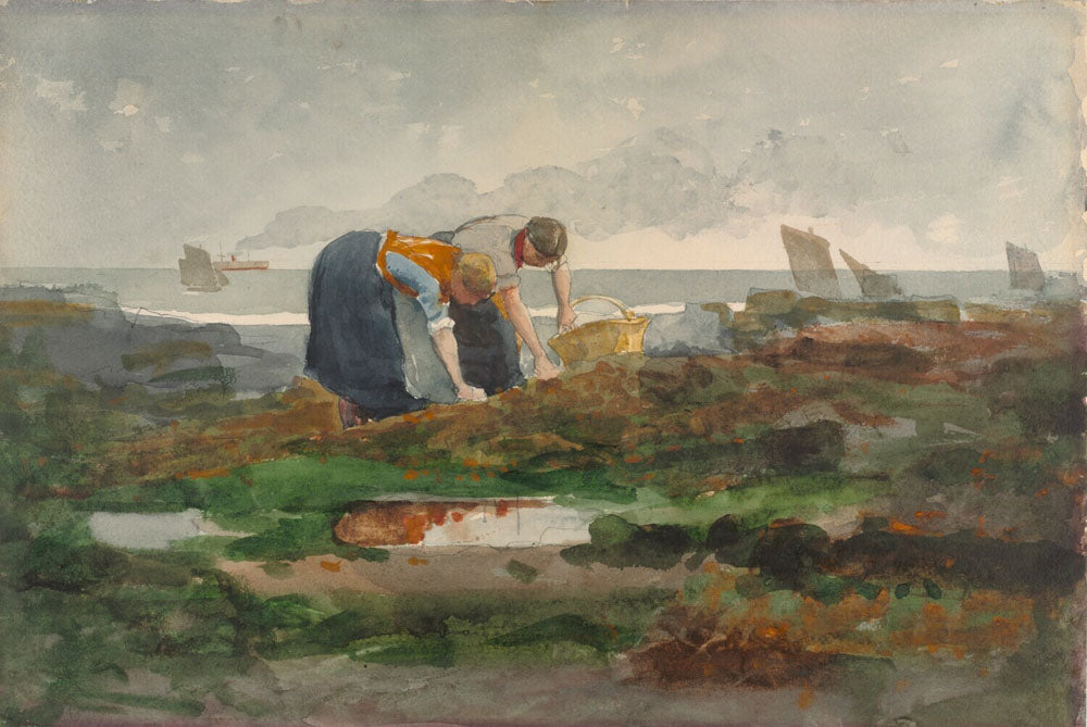 The Mussel Gatherers