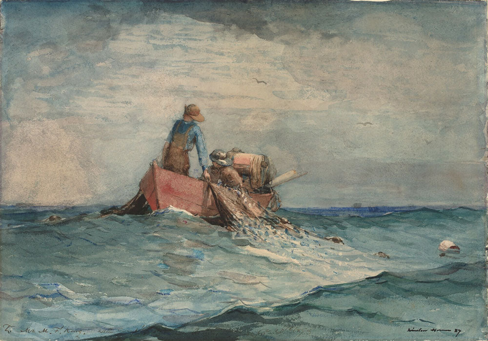 Hauling in the Nets