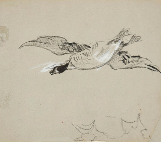 Wild Goose in Flight