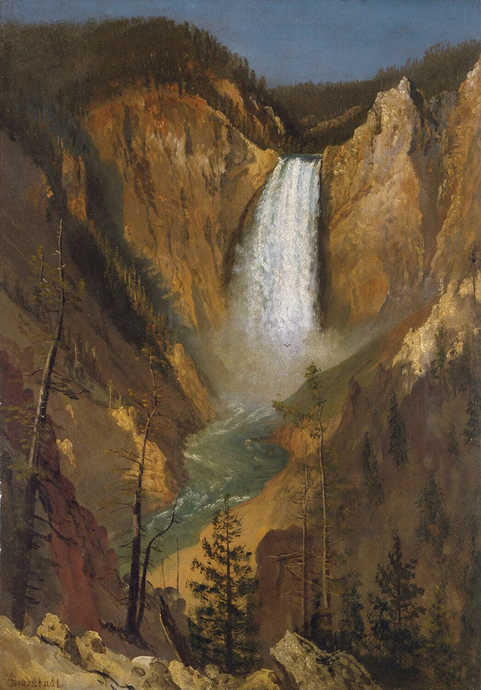 Lower Falls of the Yellowstone