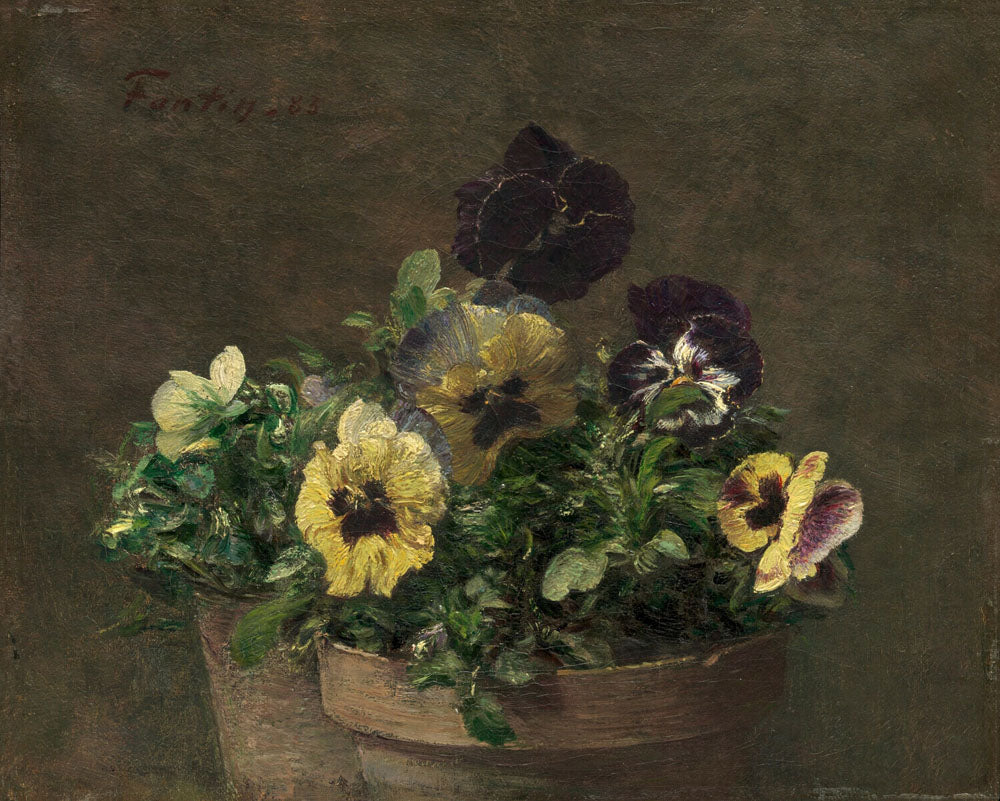 Potted Pansies