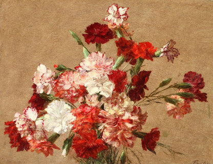 Carnations without Vase