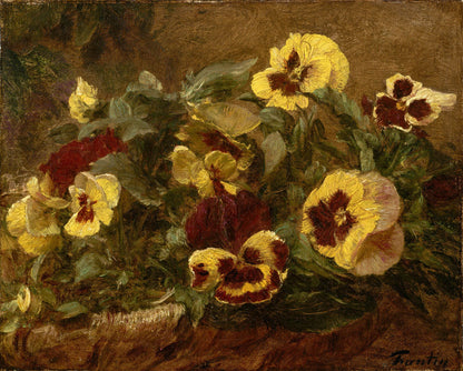 Pansies