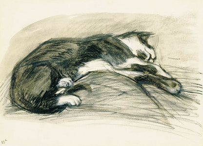 Lying Cat, verso