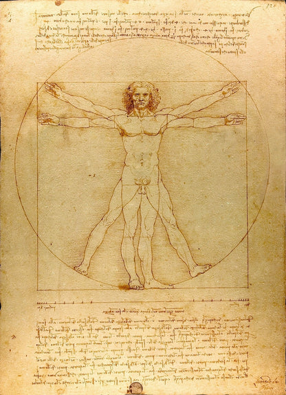 The proportions of the human figure (The Vitruvian Man) - by Leonardo da Vinci