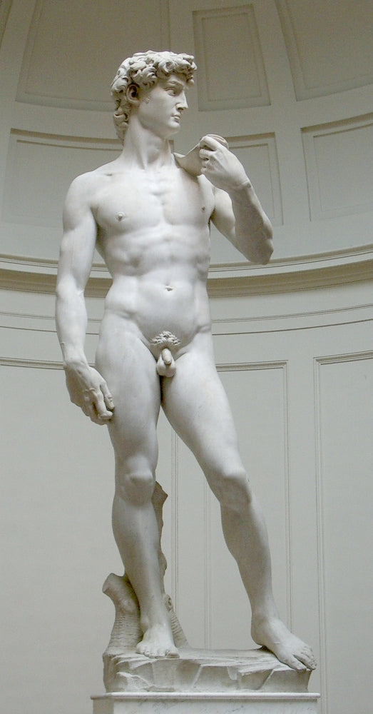 David - by Michelangelo