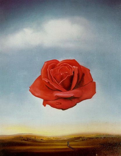 Meditative Rose - by Salvador Dali