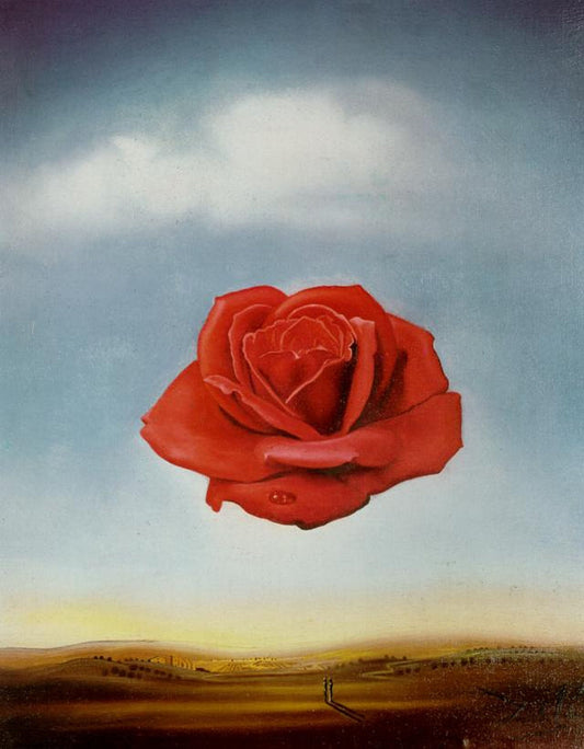 Meditative Rose - by Salvador Dali