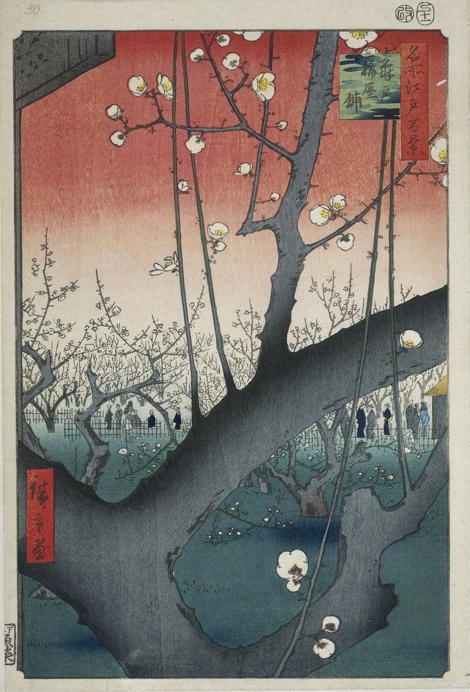 30. Plum Park in Kameido - by Hiroshige