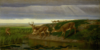 Deer on the Prairie - by William Holbrook Beard