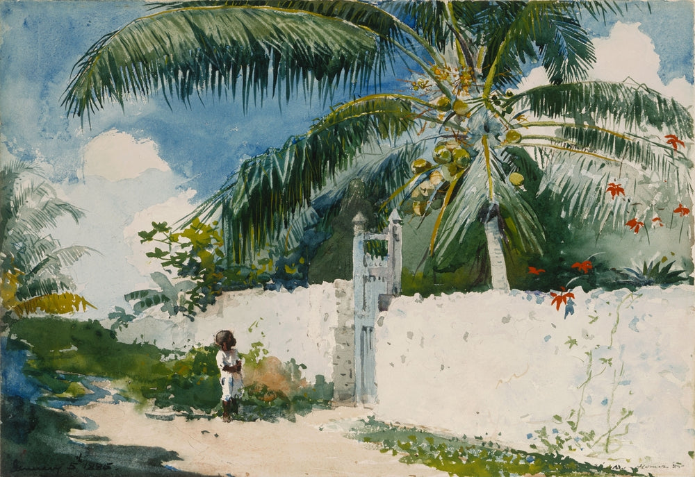 A Garden in Nassau - by Winslow Homer