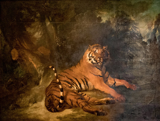 Tiger - by Jean-Baptiste Oudry