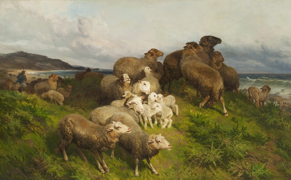 Sheep In A Meadow - by August Friedrich Schenck