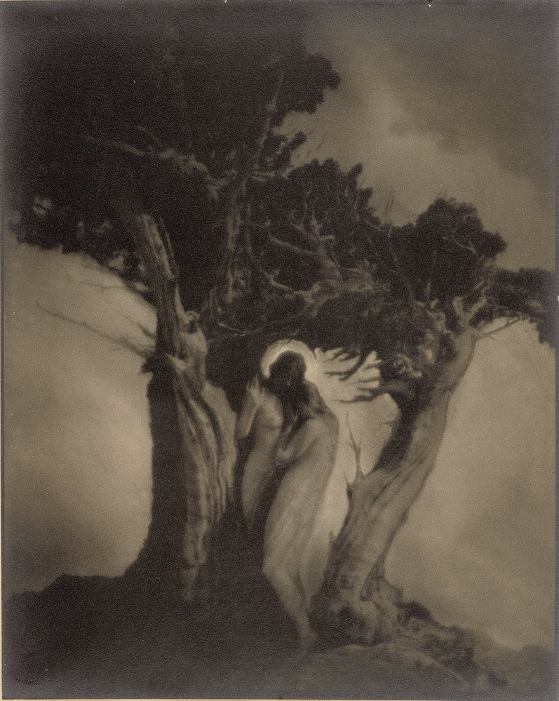 The Heart of the Storm - by Anne Brigman