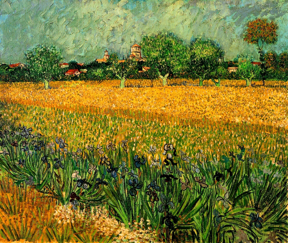 View of Arles with Irises in the Foreground - by Vincent van Gogh