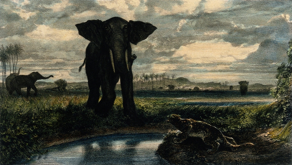 Elephants and a Panther in the Indian Desert - by Alexandre-Gabriel Decamps