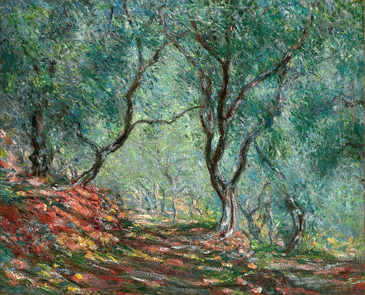 Olive Tree Wood in the Moreno Garden - by Claude Monet