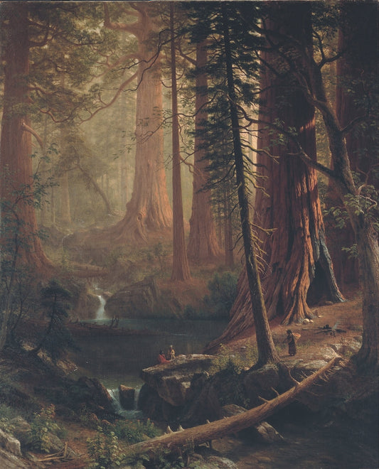 Giant Redwood Trees of California - by Albert Bierstadt